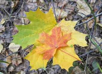 Similar image 6624826