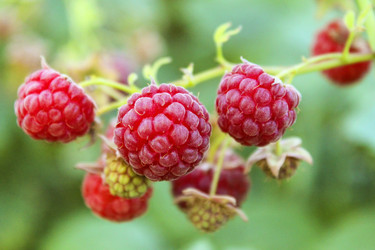 Similar image 6624834