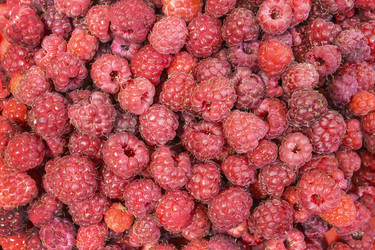 Similar image 6624837