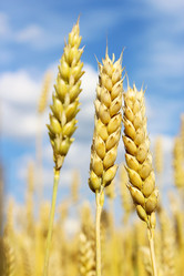 Similar image 6624839