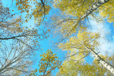 Similar image 6624857