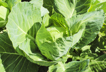 Similar image 6624860