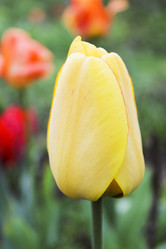 Similar image 6624864