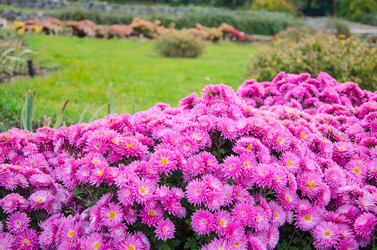 Similar image 6624990