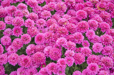 Similar image 6624991