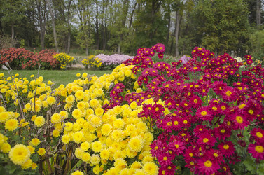 Similar image 6624992