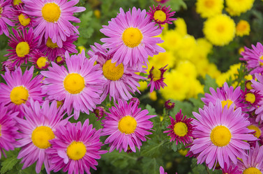 Similar image 6624993