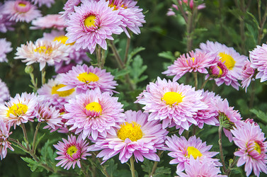 Similar image 6624995