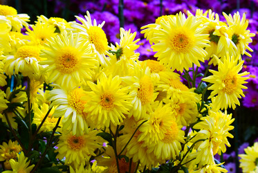 Similar image 6624996