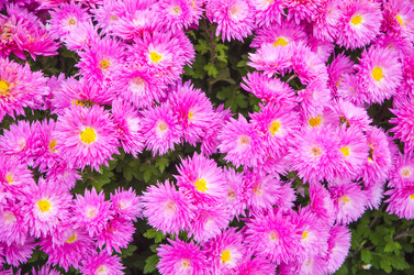 Similar image 6624997