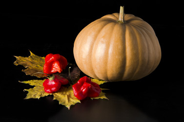 Similar image 6625003