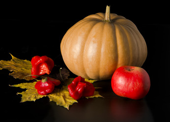 Similar image 6625004