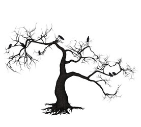 Similar image 6625034