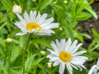 Similar image 6625035