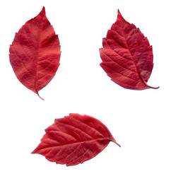 Similar image 6625073