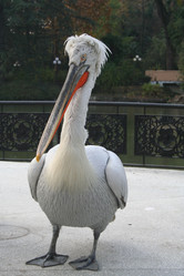 Similar image 6625078