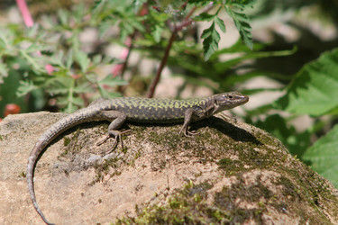 Similar image 6625079