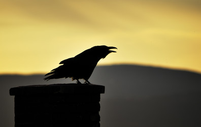 Similar image 6625080