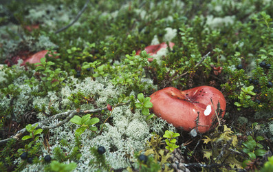 Similar image 6625087