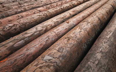 Similar image 6625092