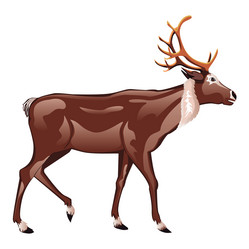 Similar image 6625107