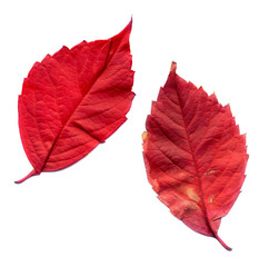 Similar image 6625112