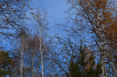 Similar image 6625131