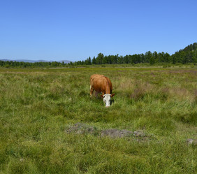 Similar image 6625132