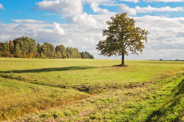 Similar image 6625449