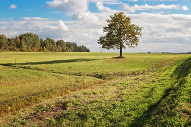 Similar image 6625450