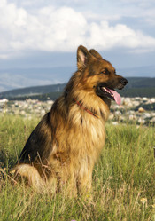 Similar image 6625456