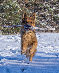 Similar image 6625459