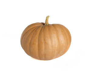 Similar image 6625462