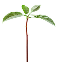 Similar image 6625471