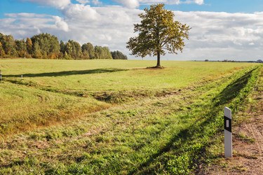 Similar image 6625478