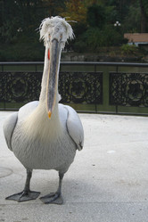 Similar image 6625485