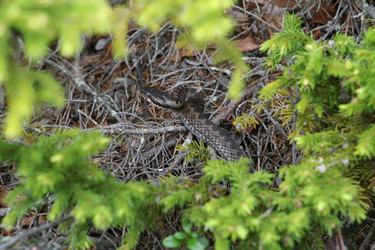 Similar image 6625486