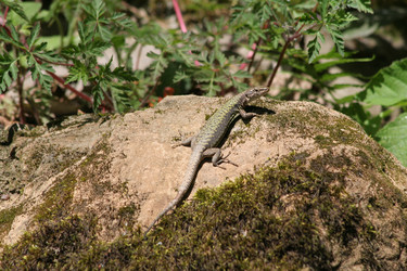 Similar image 6625487