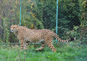 Similar image 6625488