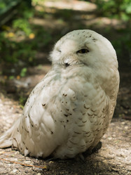 Similar image 6625492