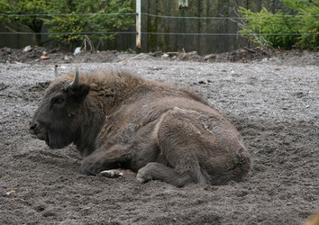 Similar image 6625515