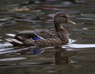 Similar image 6625517