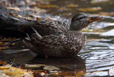 Similar image 6625518