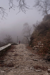 Similar image 6625537