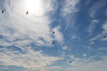 Similar image 6625915