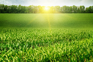 Similar image 6625957