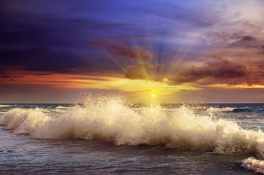 Similar image 6625960