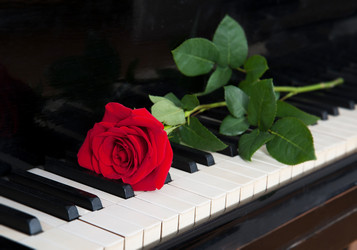 Similar image 6625962