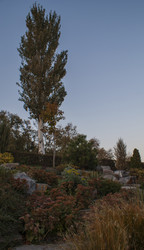 Similar image 6638598