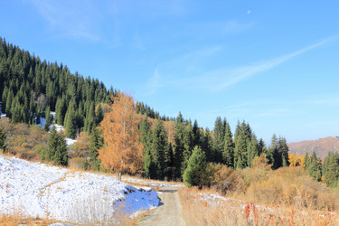 Similar image 6638609